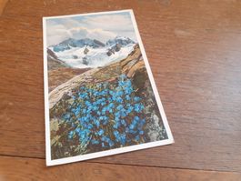HIMMELSHEROLD - PHOTOCHROMIE - ENGADIN