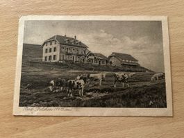 Alte Ansichtskarte Bad Belchen, Schwarzwald - Rarität!