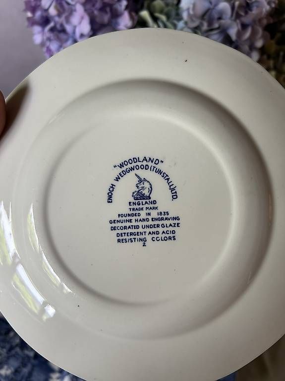Piatti: Piatti inglesi Wedgwood – Usato da magliaso venduto da rossella17 3