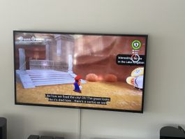 Samsung Fernseher 48“