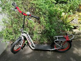 Erwachsenen Trotti Scooter