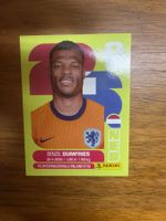 🔥 ⚽️ Panini WM 2026 Sticker Denzel Dumfries NED 6 ⚽️ 🔥