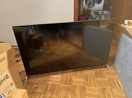 Philips ultraflach 49 Zoll Fernseher mit Ambilight