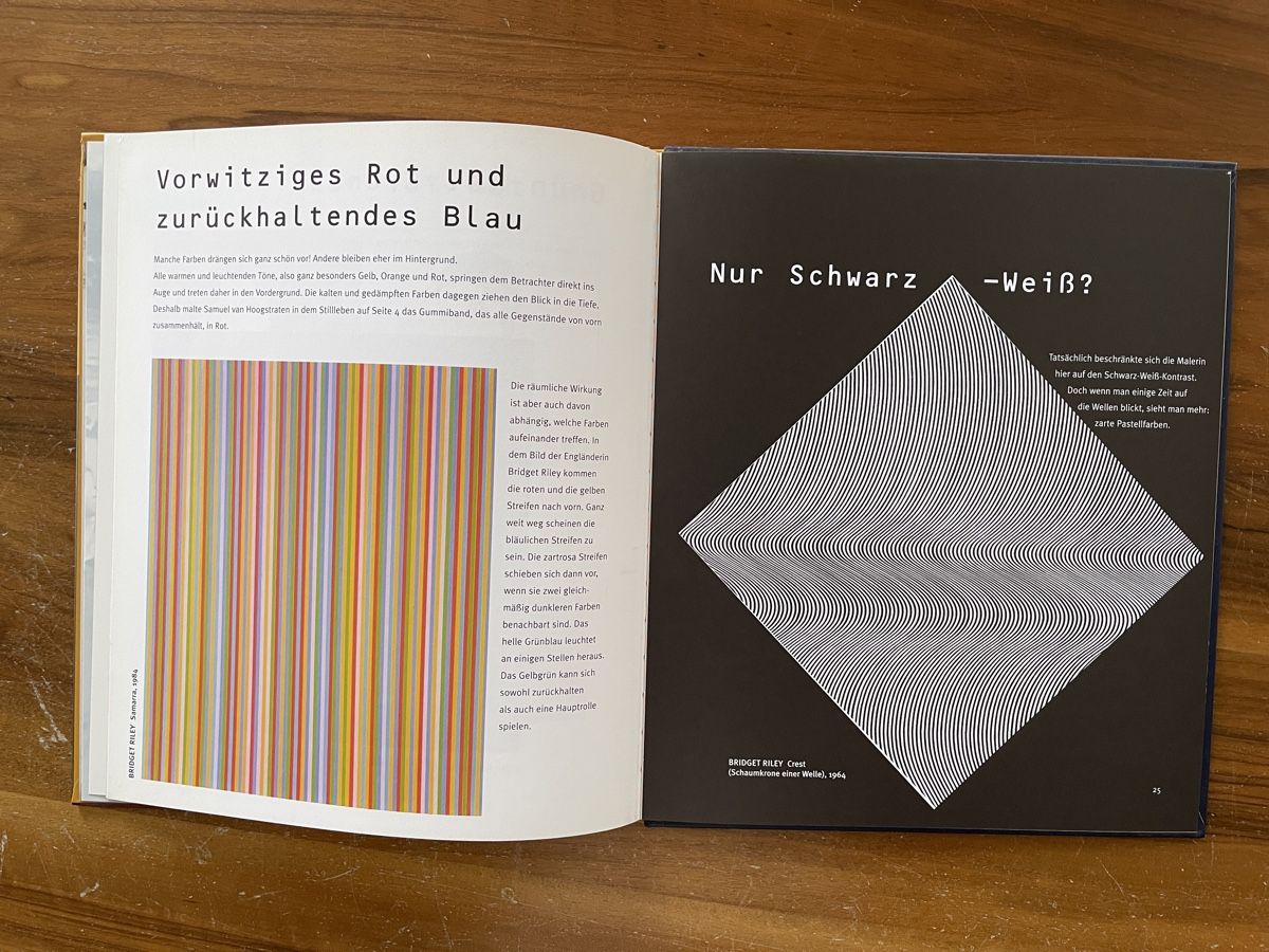 Bücher: Die Kunst der Illusion: Optische Täuschungen entdecken! – Gebraucht aus Bad Zurzach von Cookie_0619 4