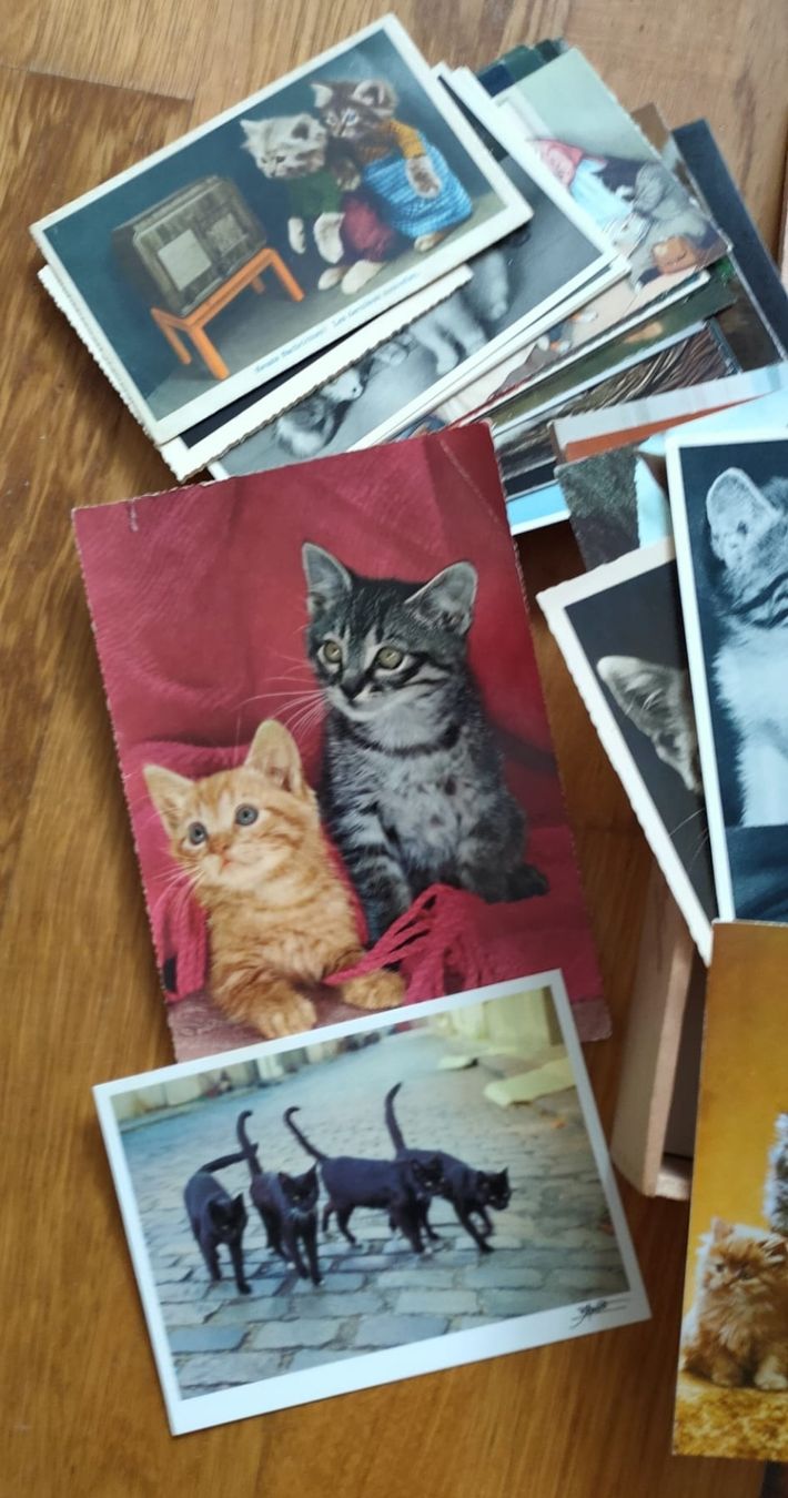 Cartoline postali: Vintage Katzen Karten – Usato da Luzern venduto da Luzern_Energy 2