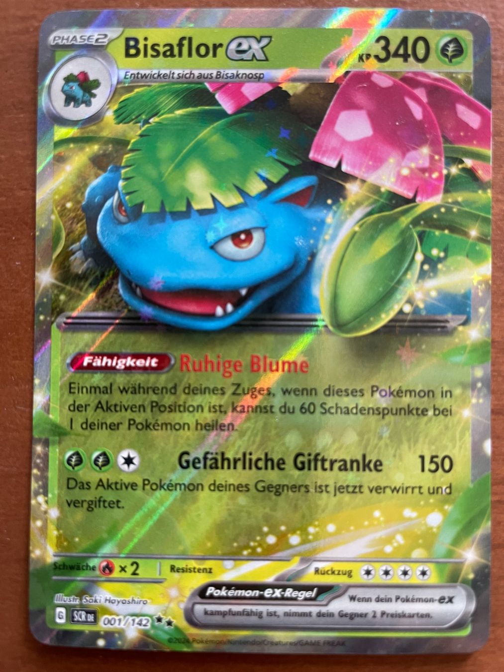 Pokémon Carte collezionabili: Pokemon Bisaflor eX (Versand gratis) – Nuovo (secondo la descrizione) da Chur venduto da Angerson