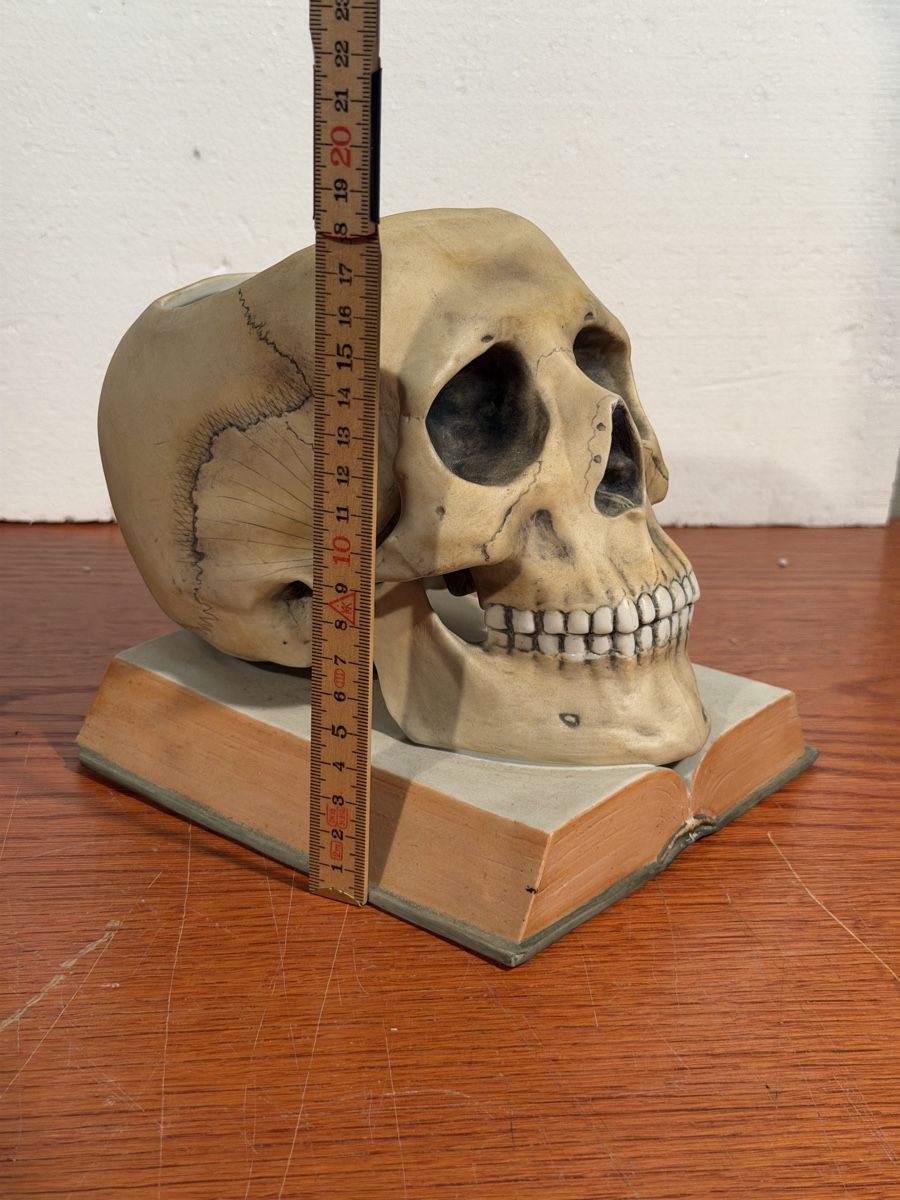 Tutte le decorazioni: Skull Decor ceramic Bookends Realistic Human Skull Model – Usato da Lausanne venduto da vas_mbk2 5