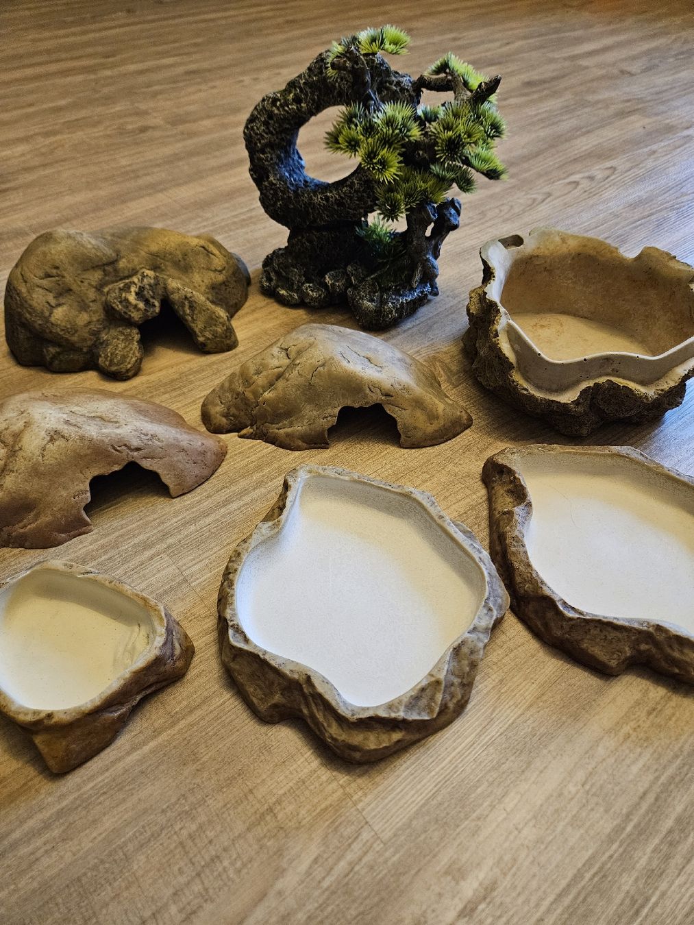 Tutte le decorazioni: Terrarium-Einrichtung/Zubehör – Usato da Schinznach Bad venduto da cynthia7 2