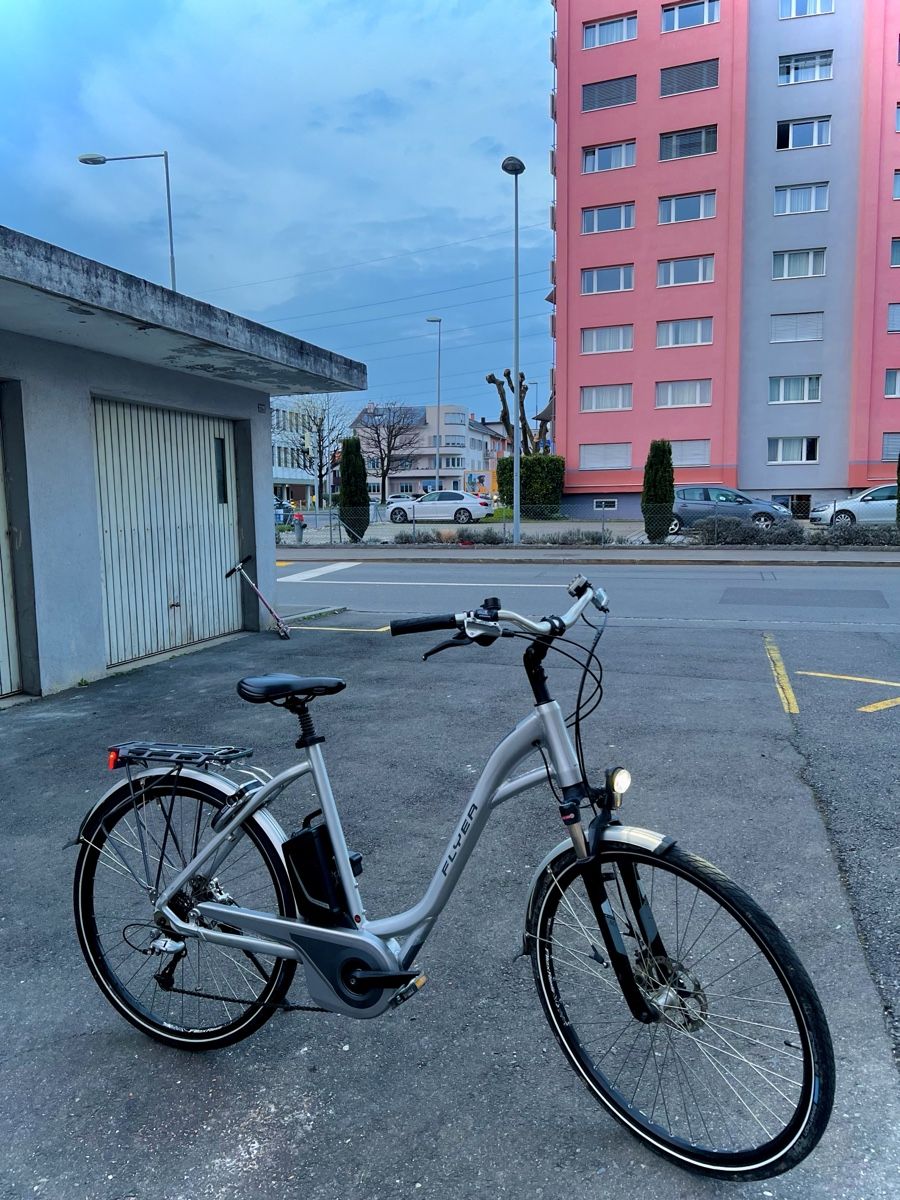 Flyer Velos: Flyer E-Bike - Top Zustand L – Gebraucht aus Bern von ser_7vtn