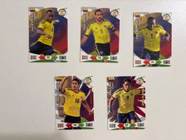 Panini Road to 2014 FIFA World Cup Brazil - Colombia