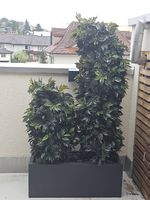 Wetterfeste Kunstpflanzen mit Pflanzgefäss