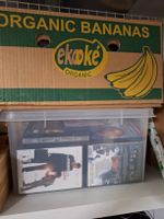 DVDs und Blueray Sammlung 2 Kisten voll diverse Filme