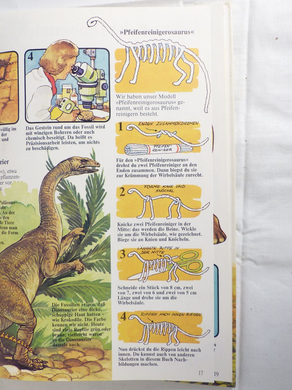 Libri: Dinosaurier Buch für Kinder – Nuovo (secondo la descrizione) da Zürich venduto da botschinski 3