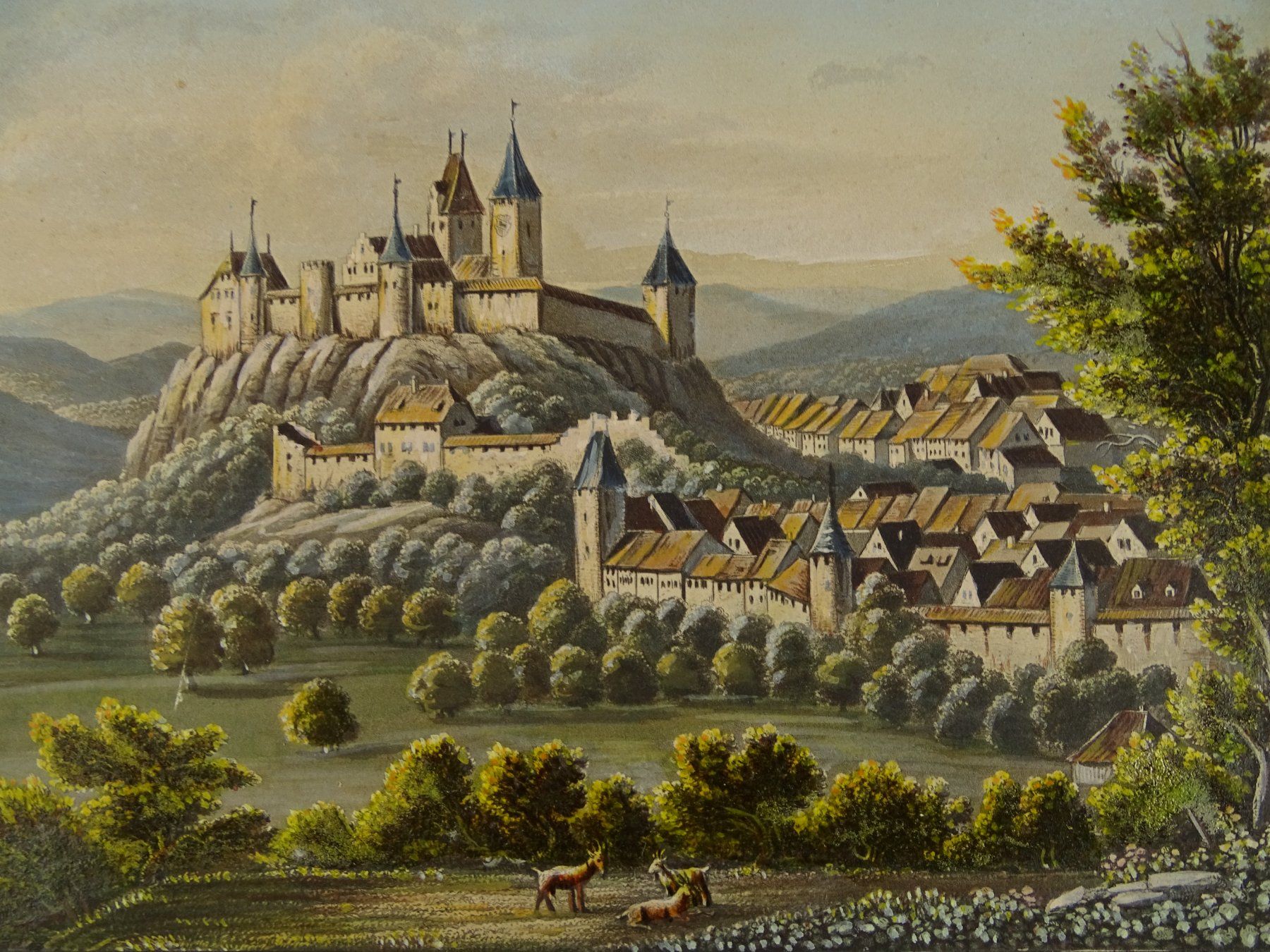Incisioni: BURGDORF, AQUATINTA 1857 – Usato da Grüningen venduto da Kartensammler 2