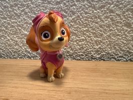 Tonie Paw Patrol / der Delfin-Freund