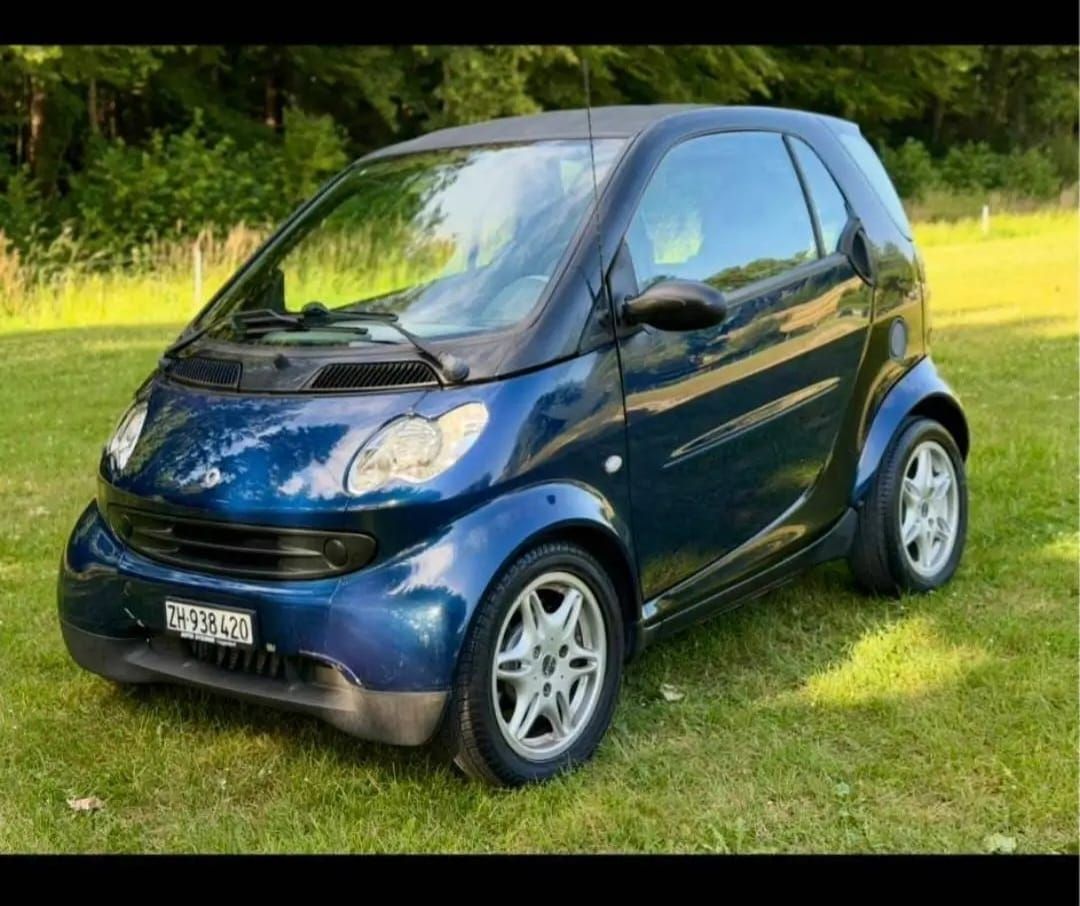 Smart Automobili: Frisch ab Mfk – Usato da Kriens venduto da bel_f7c8 3
