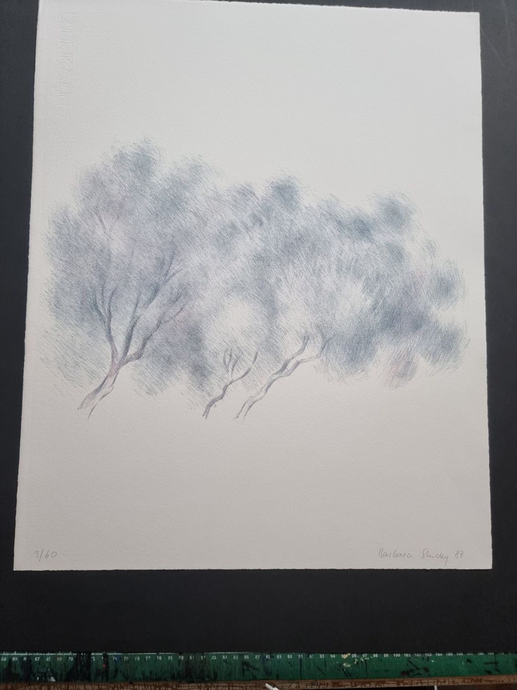 Grafica & Litografie: BARBARA STUCKY LITHOGRAPHIE SIGNIERT NUMMERIERT – Usato da Gersau venduto da grafik-kunst
