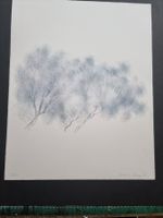 BARBARA STUCKY LITHOGRAPHIE SIGNIERT NUMMERIERT