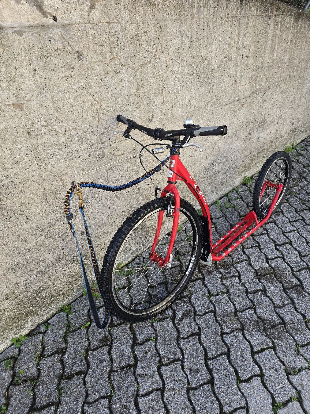 Biciclette: KOSTKA Dogscooter / Tretroller – Usato da Näfels venduto da _over_lux 1