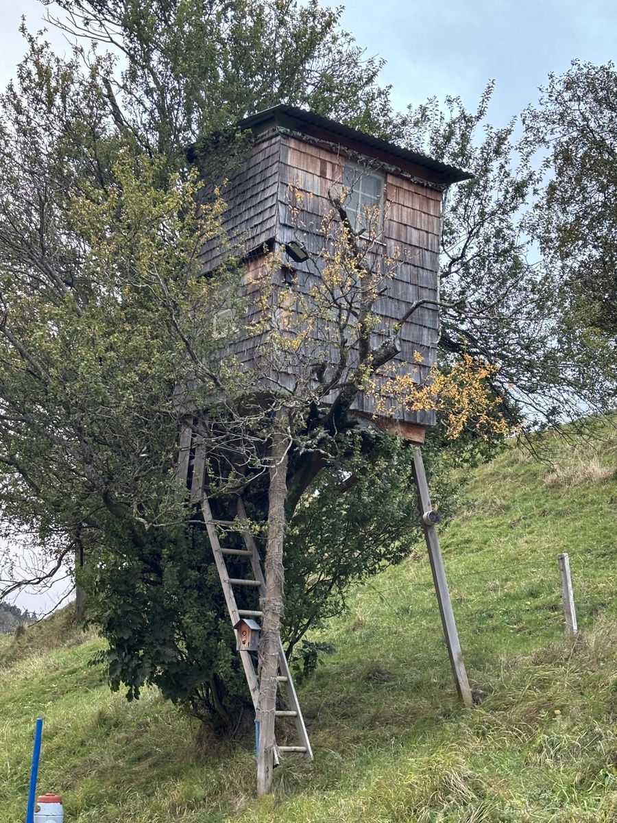Casette per bambini: Baumhaus, Kleintierstall, Baumhütte – Usato da Heiden venduto da rb6_vjr6