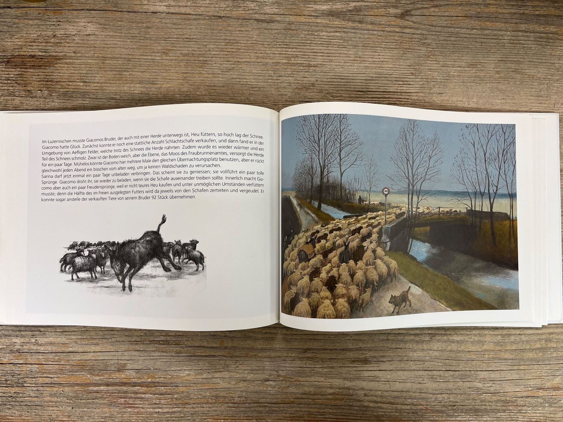 Libri: Bergmann Peter  Winterweide mit einem Schafhirten unterwegs – Usato da Pfäffikon ZH venduto da buresi 2