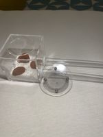 Neues Ameisen-Habitat, Acryl Farm Insekten-Terrarium