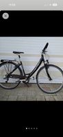 Damen Velo