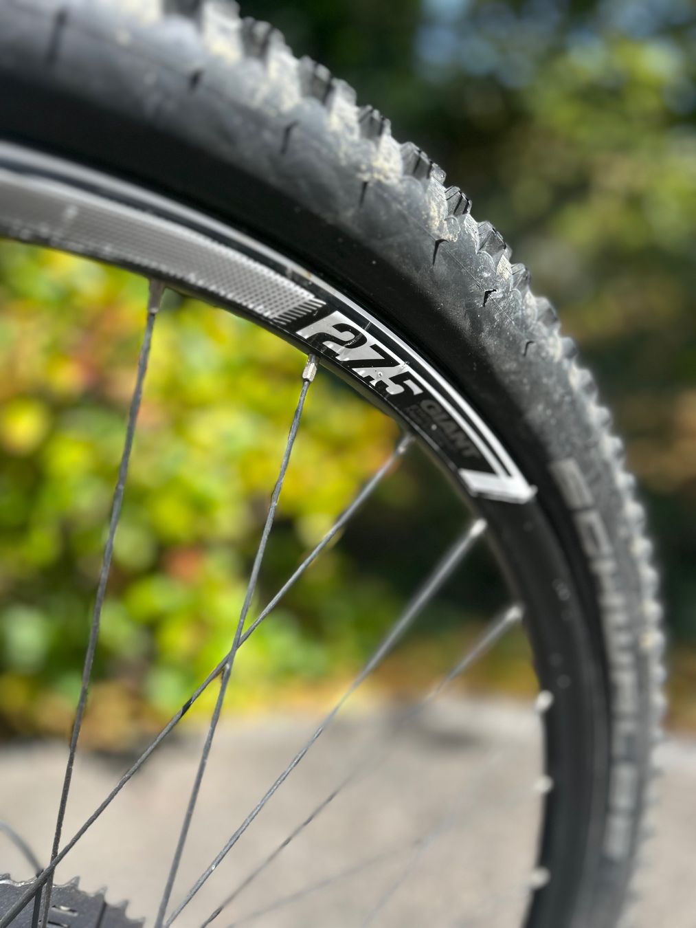 Giant Velos: Bike Grösse L – Gebraucht aus Muttenz von davos7172 3