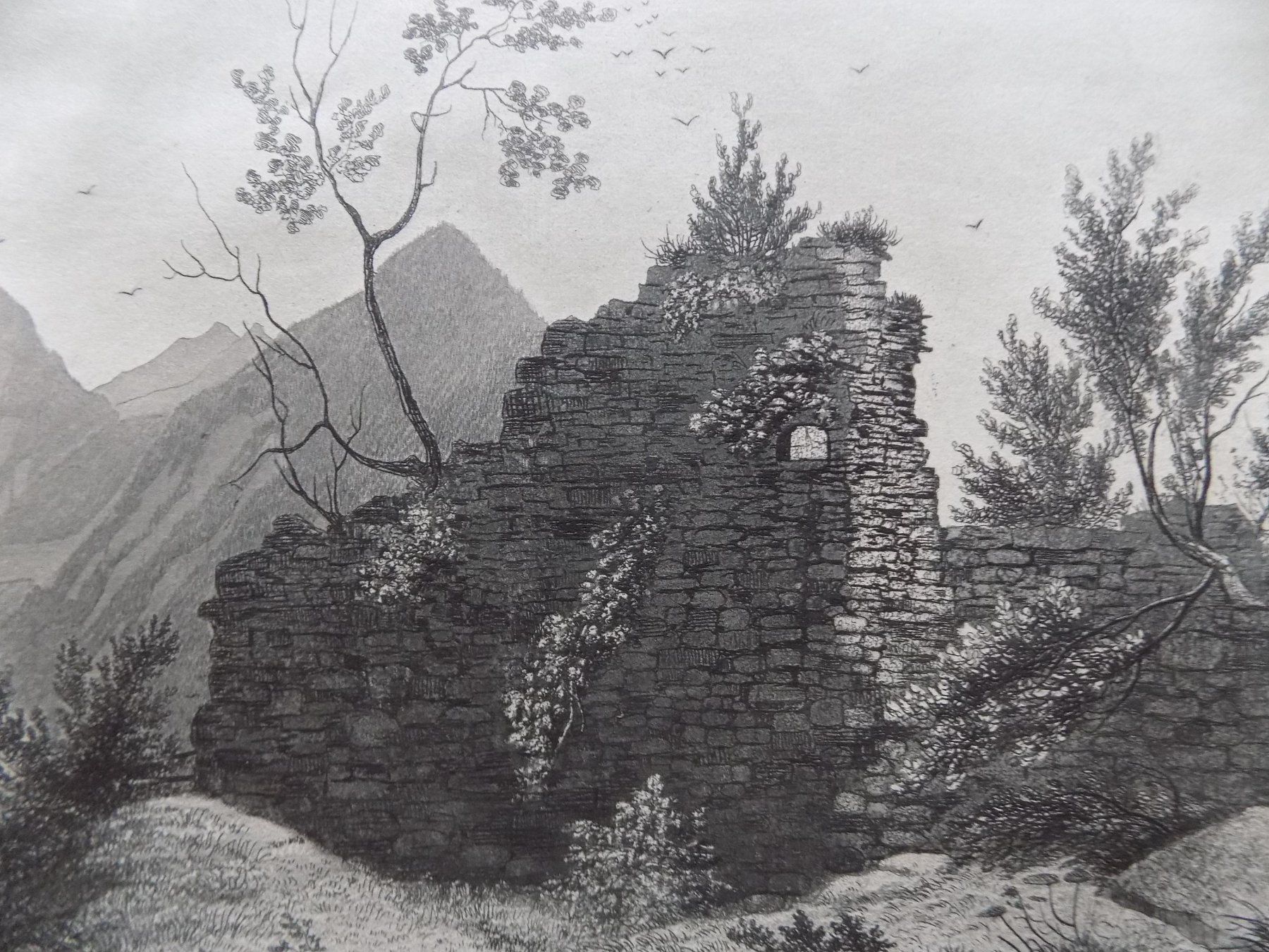 Incisioni: Ruine Rotzberg Ennetmoos – Usato da Risch venduto da Rischli15 8