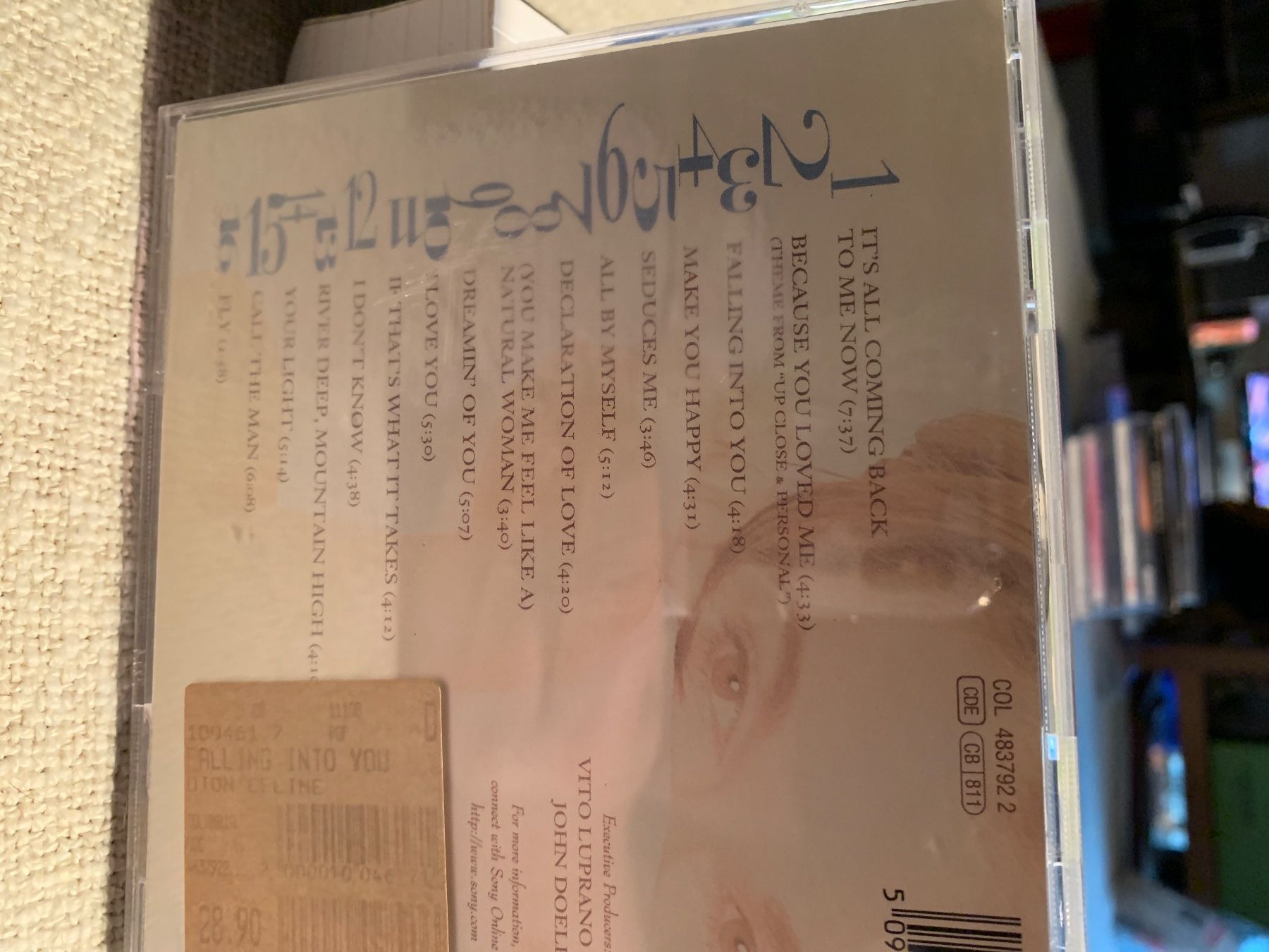 CD: Celine Dion - Falling Into You CD – Usato da Mönchaltorf venduto da gotteron07 2