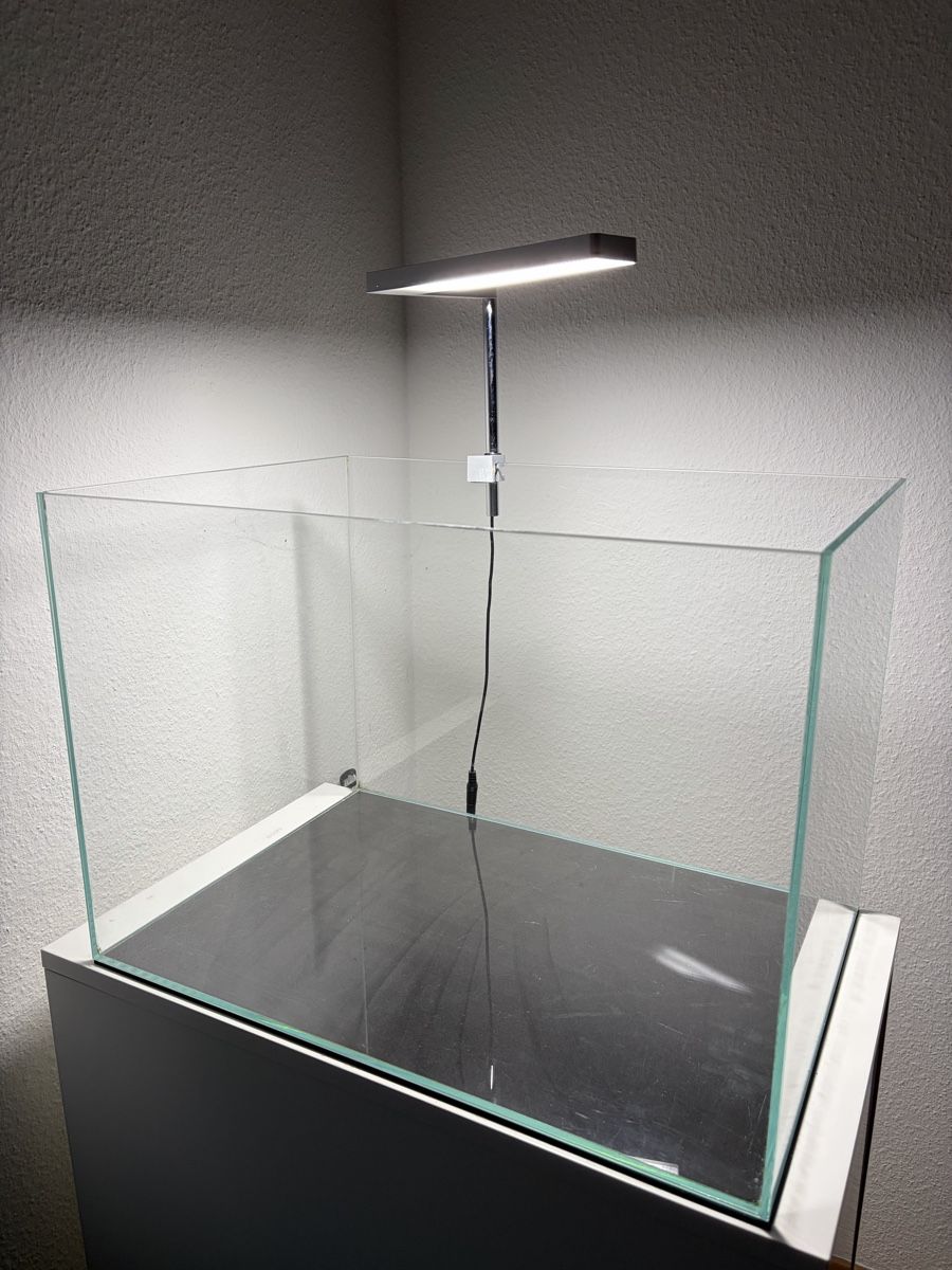 Aquarium: Kit aquarium 60L complet (filtre + éclairage) – Gebraucht aus Peseux von ric_ybl8