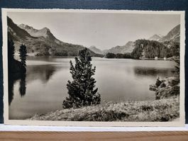 No. 93, von Halbinsel Chaste über den Silsersee gegen Maloja