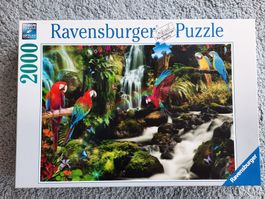 Ravensburger Puzzle -2000 Teile-Bunte Papageien im Dschungel
