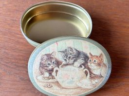 Katzen-Metalldose