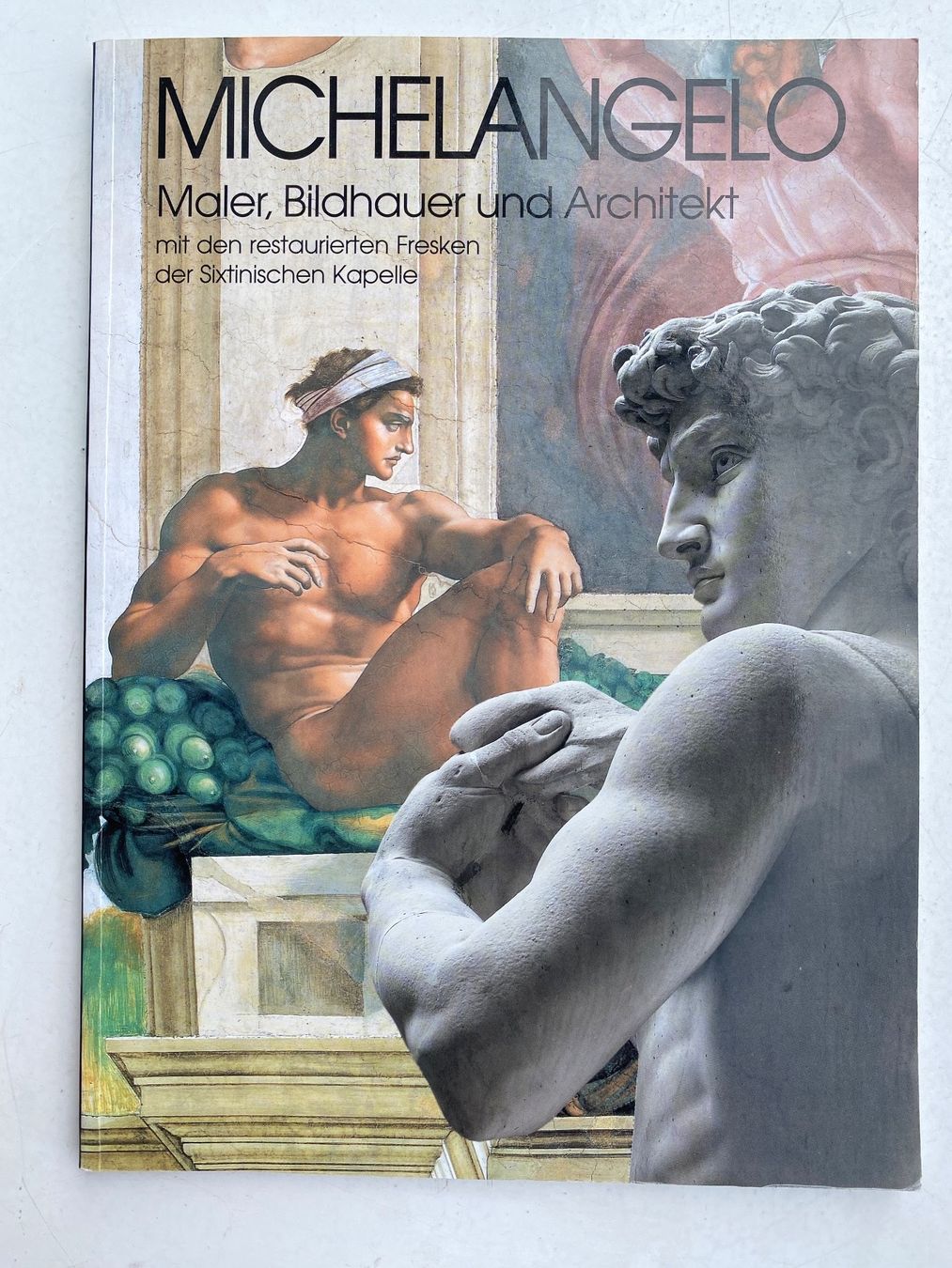 Libri: MICHELANGELO - MALER - BILDHAUER UND ARCHITEKT – Usato da Zürich venduto da lesgarcons