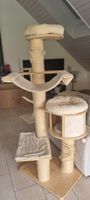 Kratzbaum für Grosse Katzen abzuholen