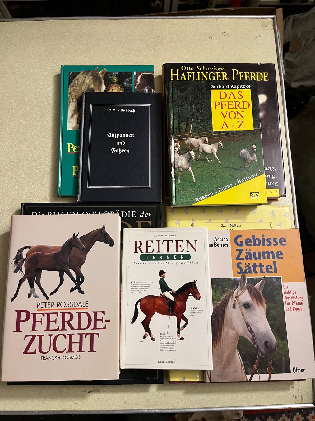 Bücher: 9 bücher über pferde reiten – Gebraucht aus Emmenmatt von flyrecords 1