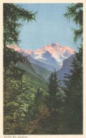 Jungfrau BE Alpenpanorama durch Wald