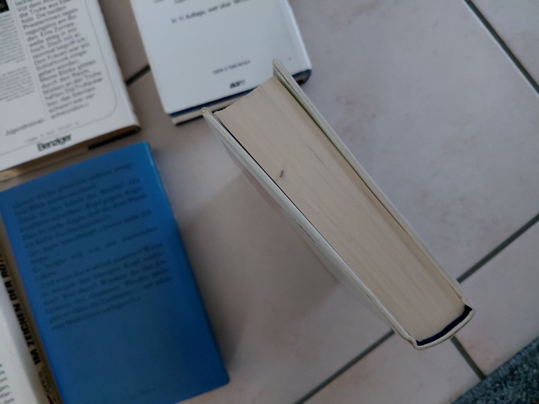 Bücher: Federica de Cesco - 6 Bücher – Gebraucht aus Worb von Antoinette22 4