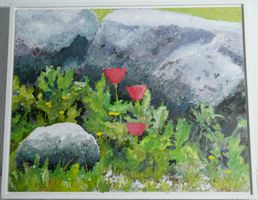 Orig. Gemälde Dr. K. Wintsch (1931-2025) "Wilder Mohn" 3D