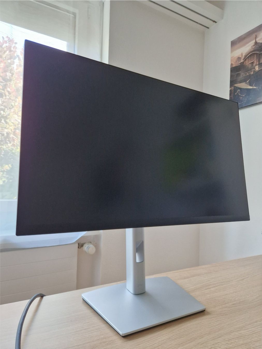 Dell Monitor: DELL P2425D (2560 x 1440) – Usato da Oberglatt ZH venduto da Dean_Busi 2