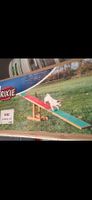 Parcours jeu dressage pour chiens