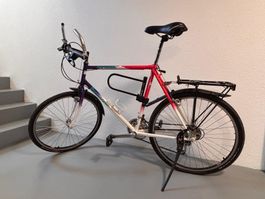 Panasonic MC 5500 Mountainbike