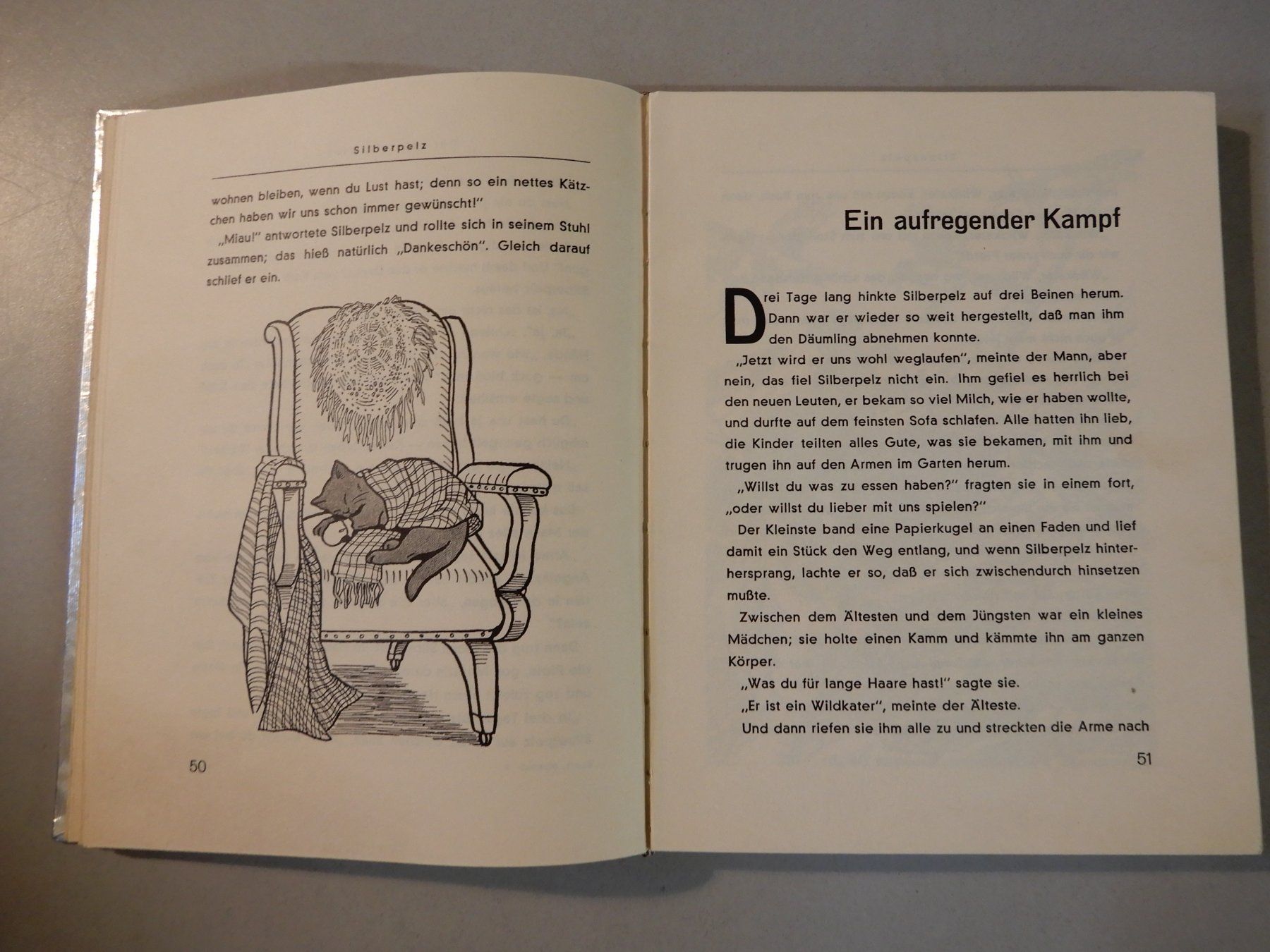 Libri: Silberpelz Abenteuer einer Katze, Gabriel Scott, 2. Auflage – Usato da Erstfeld venduto da Mario_boe0 6
