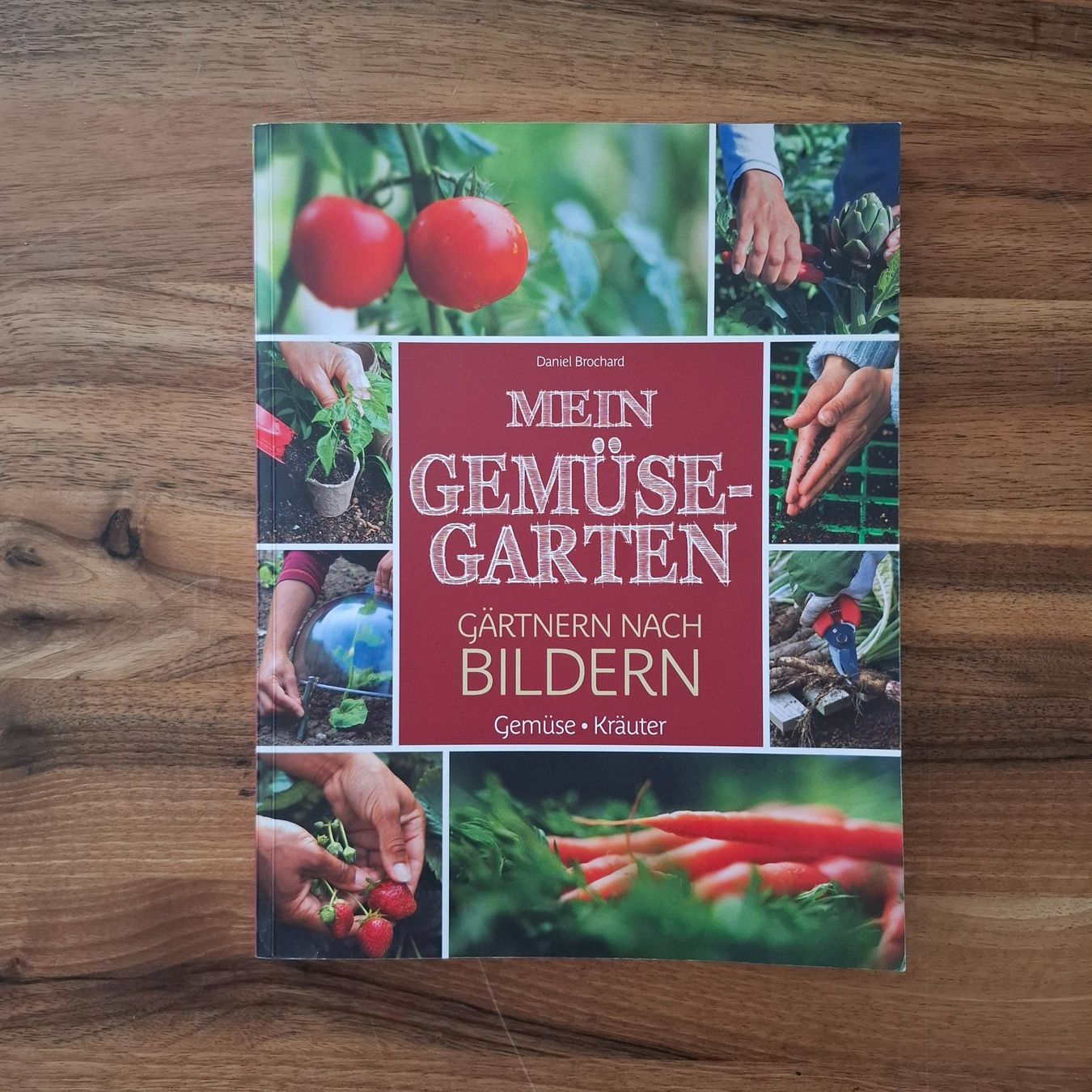 Livres: Buch " Mein Gemüse-Garten" – Neuf (Voir description) à Sisseln AG par Tropea4334