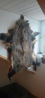 Wildschweinfell
