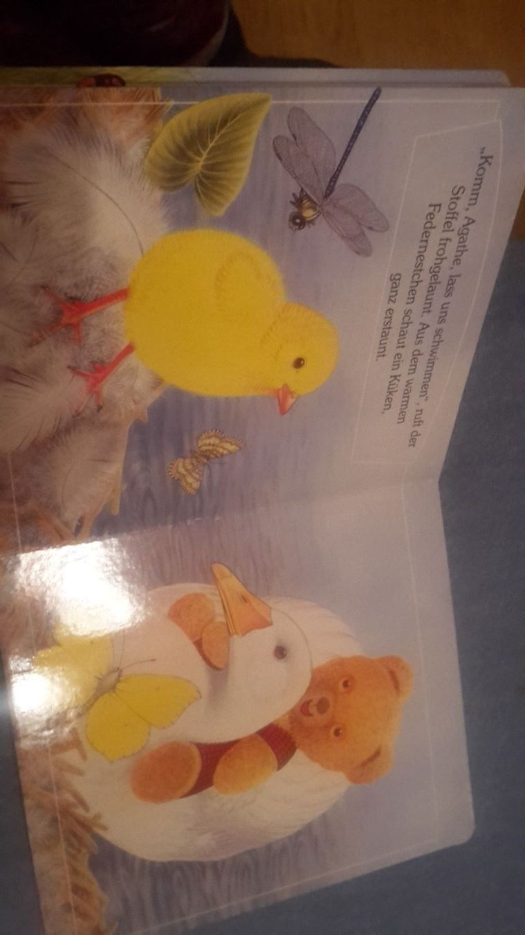 Libri: Buch Stoffel und  Agatha – Usato da Schwarzenburg venduto da Flamingo07 1