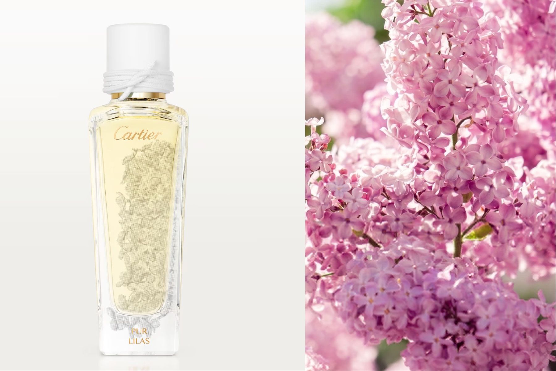 Cartier Parfum & Eau de Toilette: Pur Lilas Cartier 5 ml probe – Gebraucht aus Täuffelen von RoyaltyBrown 4
