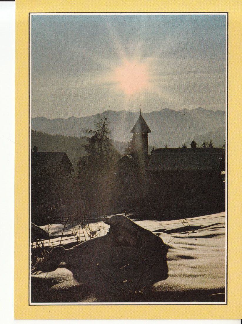 Cartoline postali: Flims Fidaz 1988 – Usato da Bürglen TG venduto da StampGraf