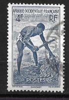 Französisch-Westafrika 1947: Gewinnung von Palmherzen